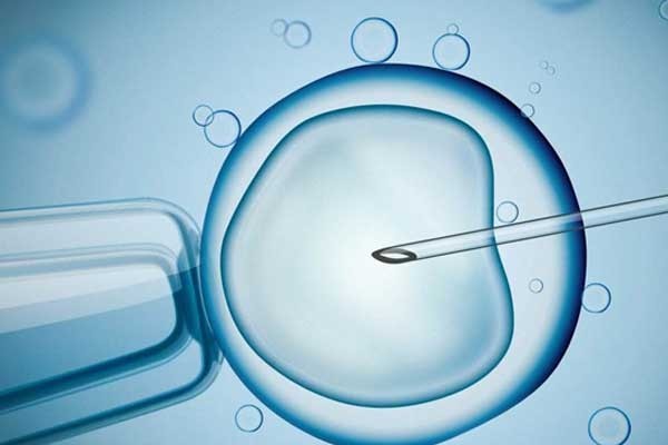 胚胎移植后对我的生活有很大影响吗？我还能回