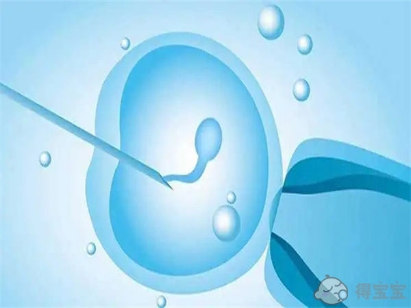 江门借卵试管助孕中心-2023年江门市中心医院捐卵试管婴儿的费用是多少？